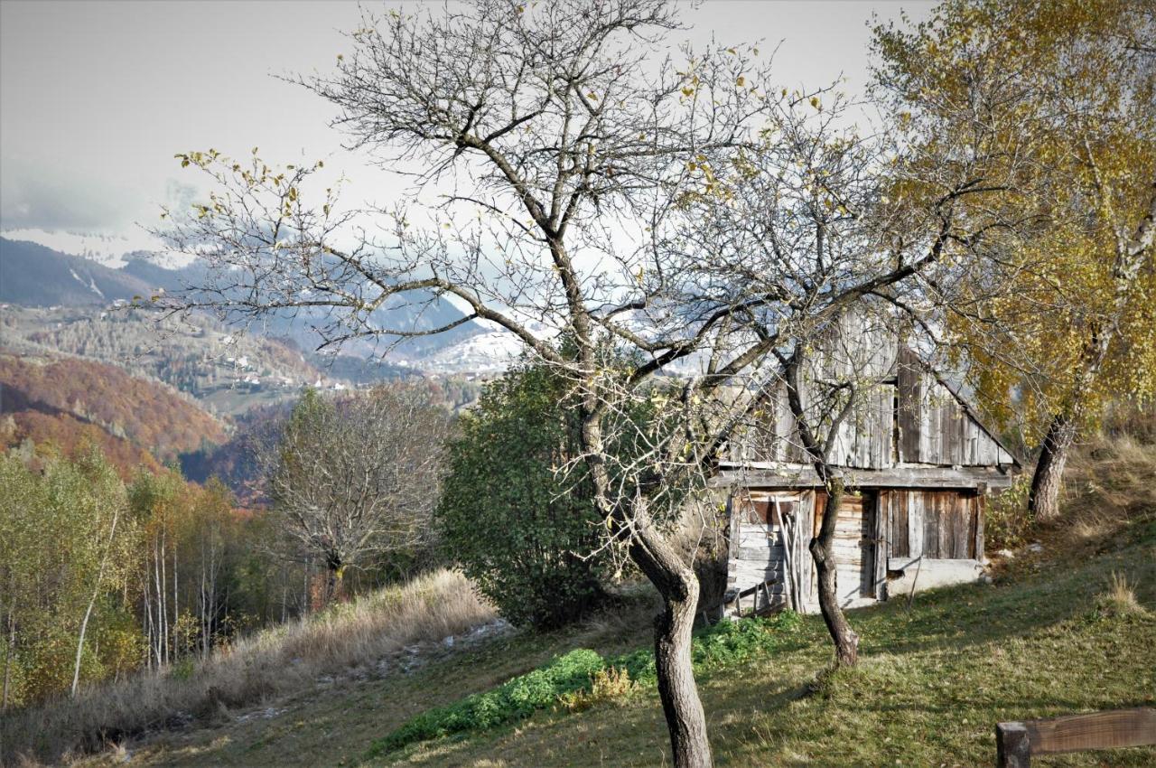 Hotel Cabanuta Din Munti Moieciu de Jos Exterior foto