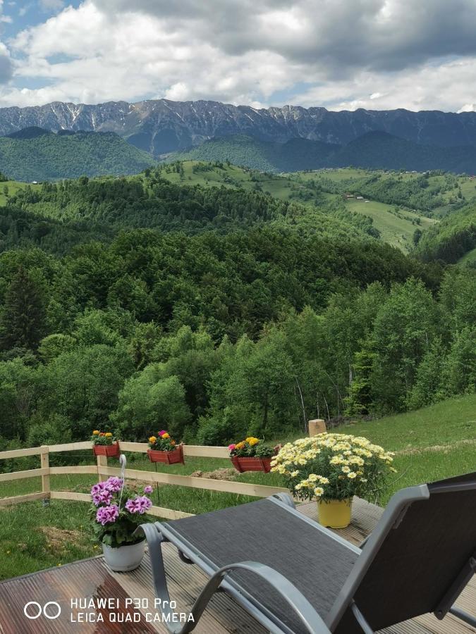 Hotel Cabanuta Din Munti Moieciu de Jos Exterior foto